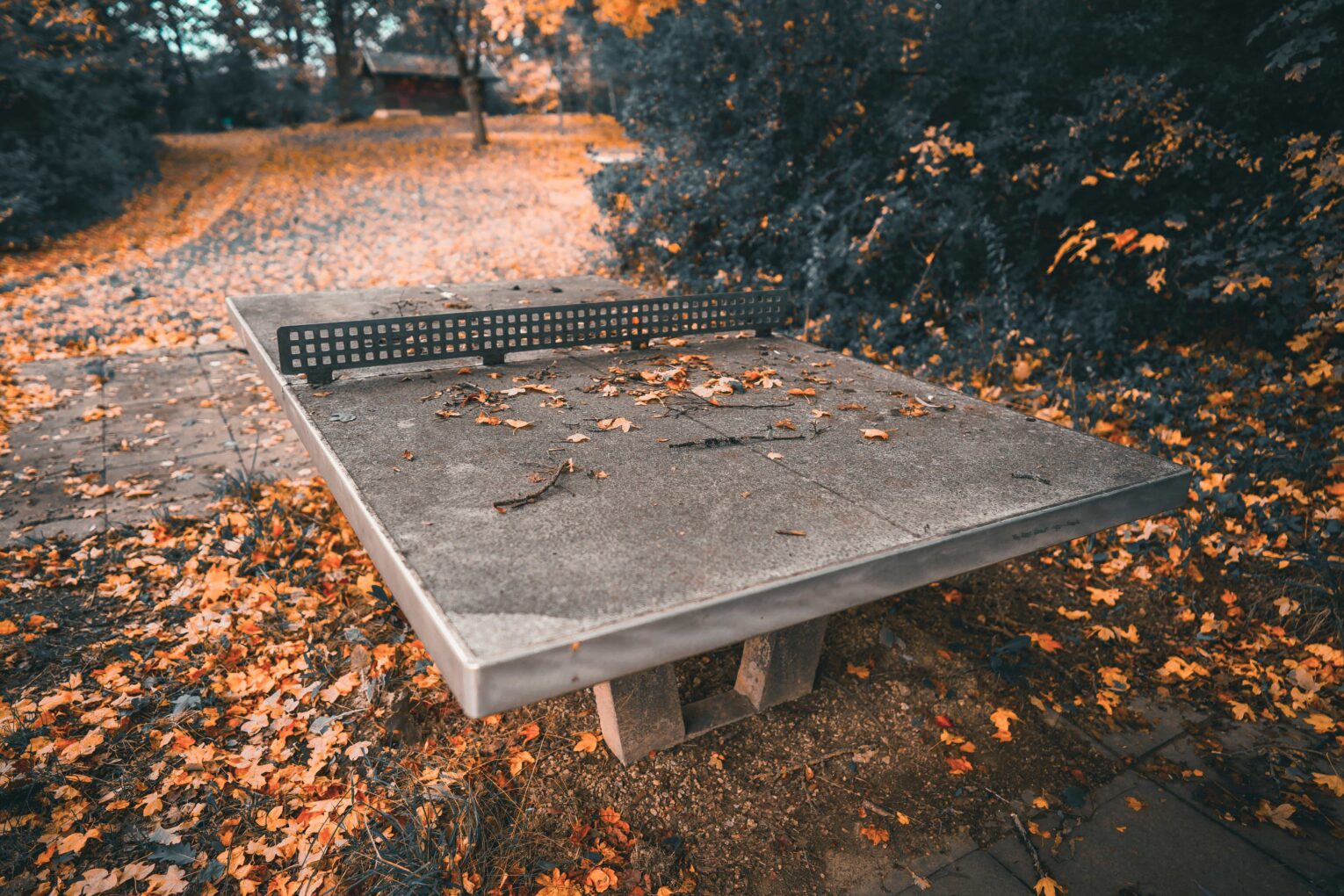 Mesa de ping-pong de hormigón para exterior