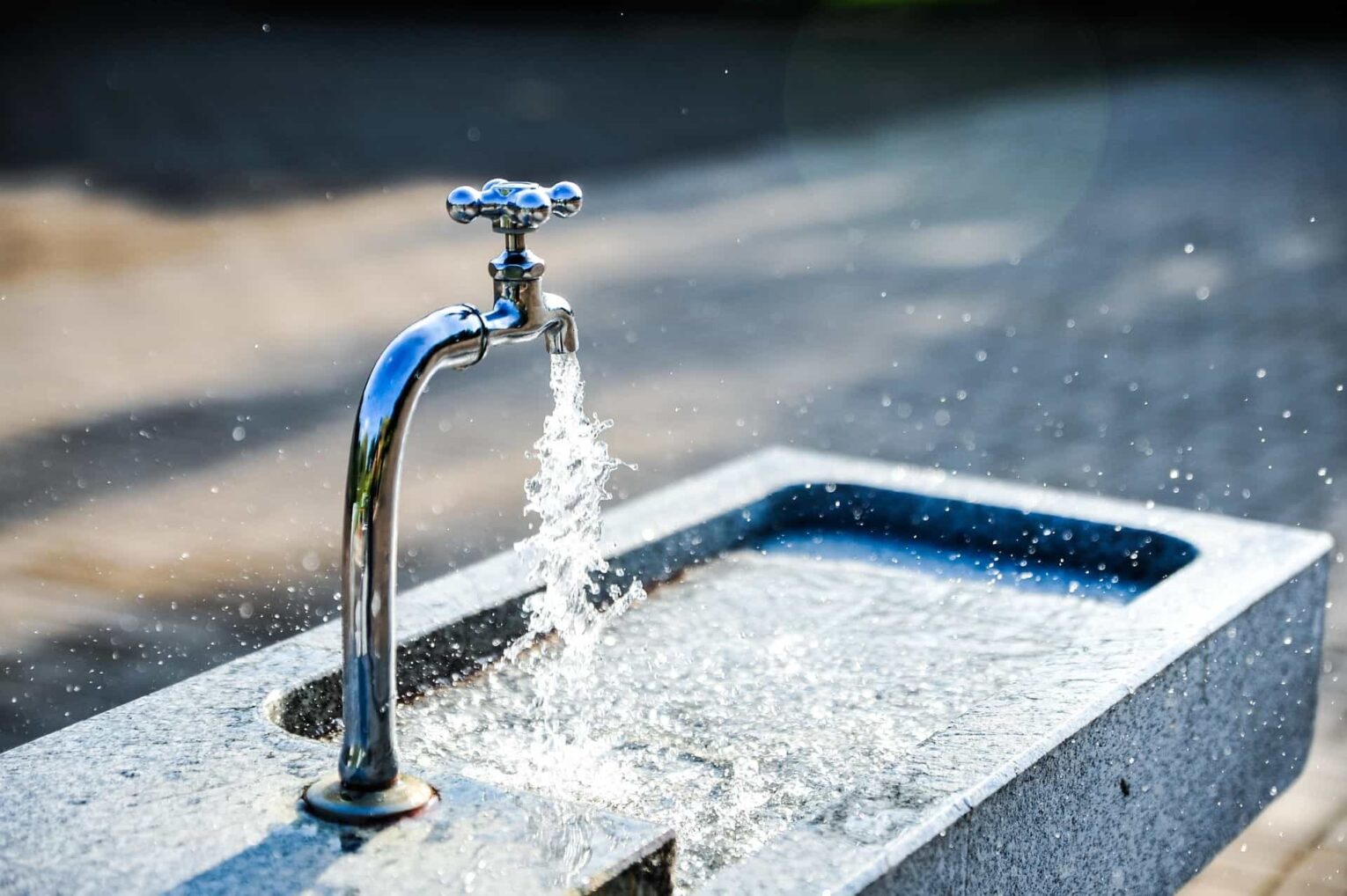 Lavabo jardín