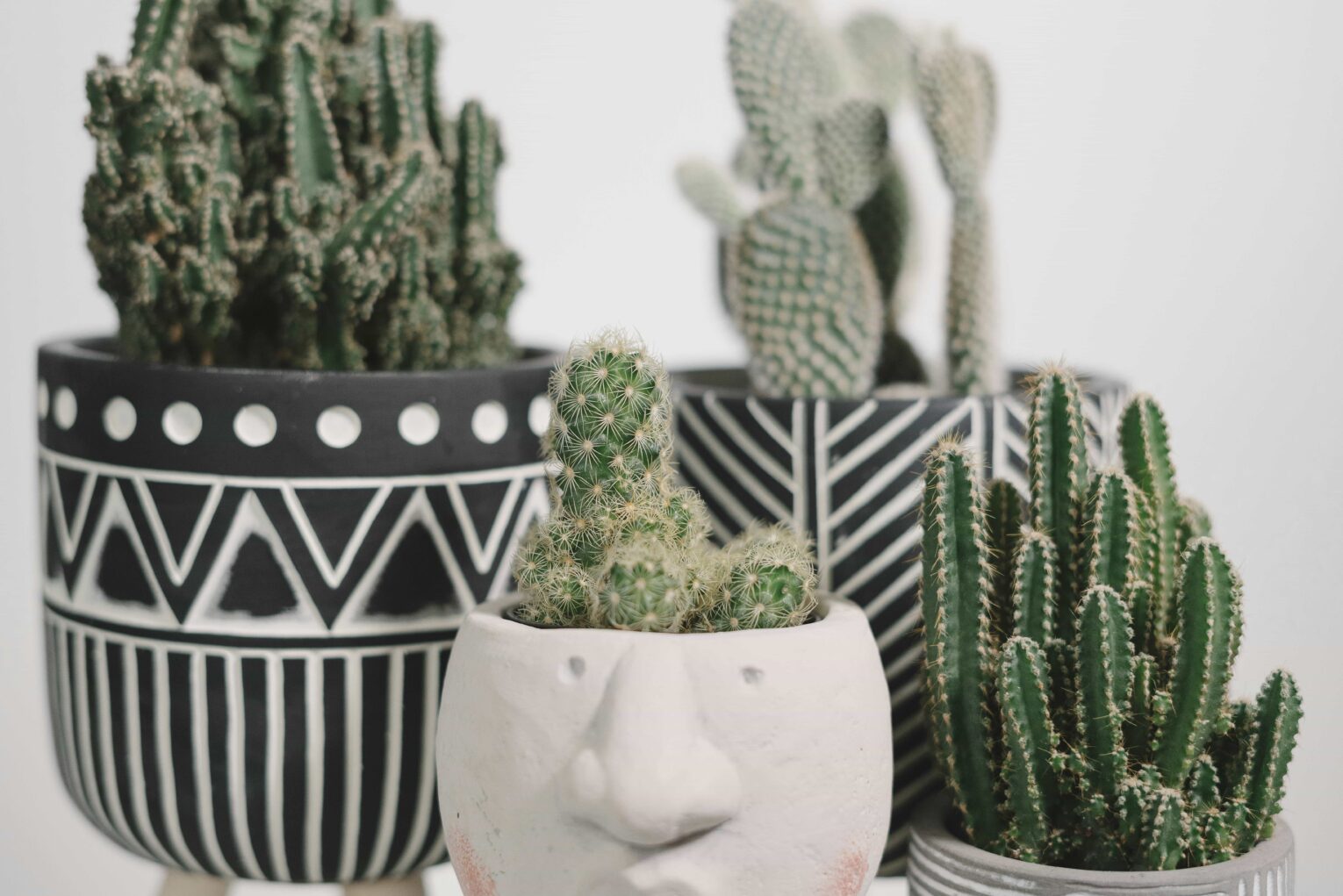 Diseño jardineras