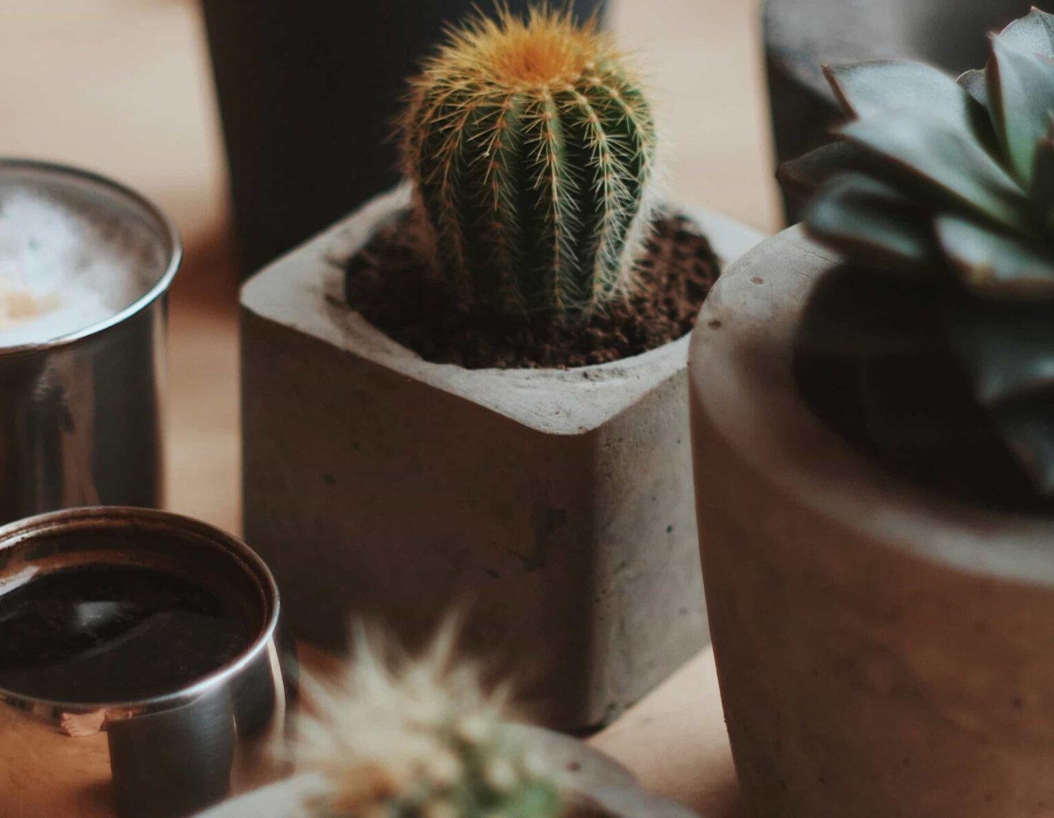 Hormigón jardineras