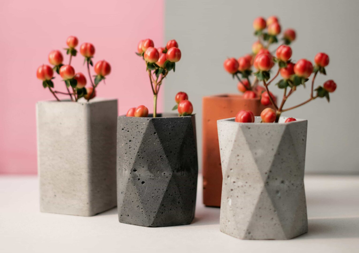 Plantas jardinera