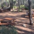 Mesas de picnic hormigón imitación madera
