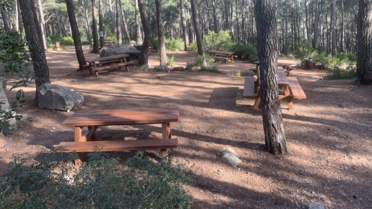 Mesas de picnic hormigón imitación madera